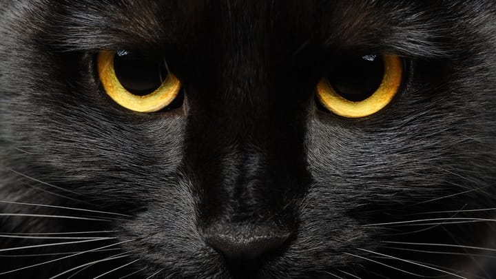 US Cybersecurity Experts Accused of Using BlackCat Ransomware